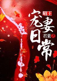昭王宠妻日常相似