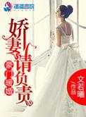 豪门暖婚新妻