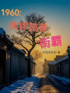 南锣鼓巷的视频