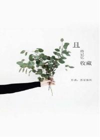 收藏记忆什么意思