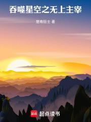 吞噬星空之无上进化