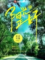 阳光正好作文800字初三