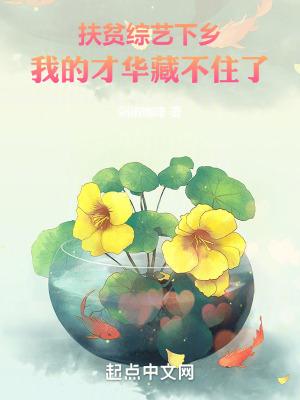 下乡扶贫视频