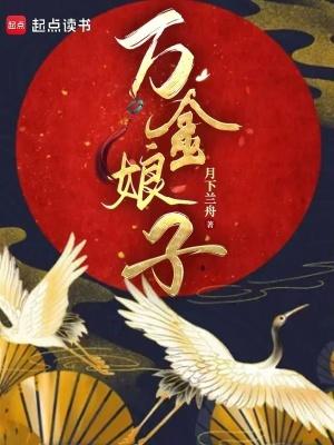 万金娘子讲的是什么