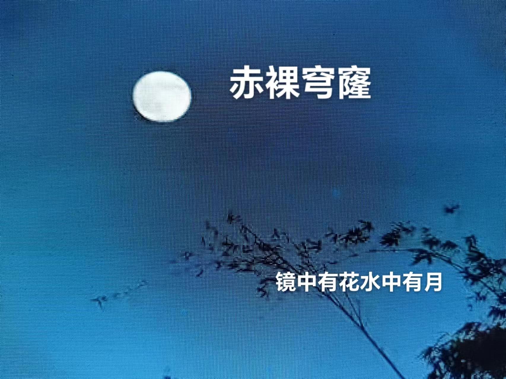 赤裸穹隆几个女主