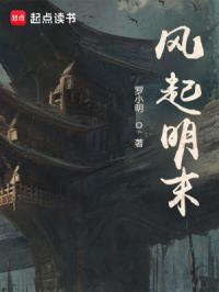 风起明末无弹窗 笔趣阁全本