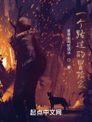 一个路过的冒险家歌曲