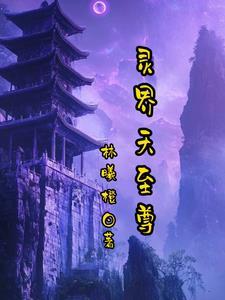 天界至尊全集