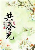 共春光免费阅读爱书网