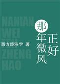 那年微风正好全文阅读