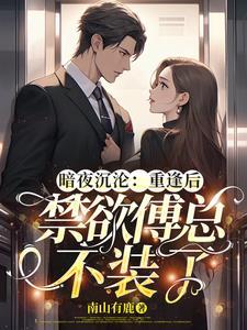 全文免费阅读傅夜沉663