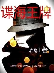 谍海王牌txt百度