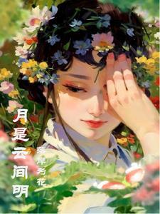 月是云中散客