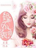 婚不由己全文免费
