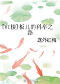 红楼板儿的科举之路书包网