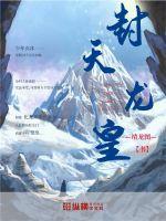 二天龙白龙皇