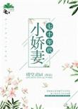 七十年代小娇妻免费阅读
