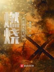 战火纷飞电视剧免费观看