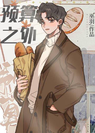 预算外预算内什么意思