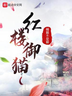 红楼御猫txt