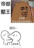 我怕是离了个假婚在线阅读