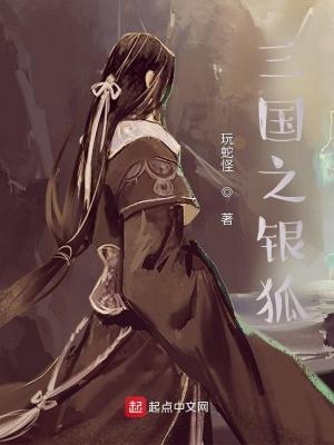 三国之银狐百度TXT