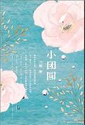 小团圆简介