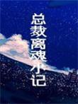 总裁离魂小记免费阅读