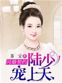 闪婚新妻陆少心太急