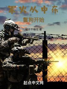 军火从中东鬣狗开始全本免费阅读