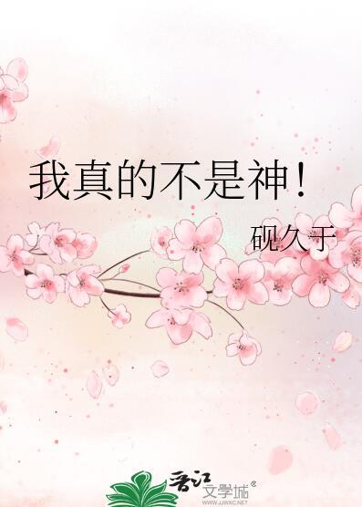 我真的不是神级指引npc
