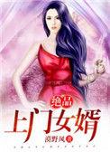 绝品上门婿赘