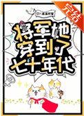 将军她穿到了七十年代百度链接