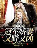 重生九零冠军娇妻又野又凶合集
