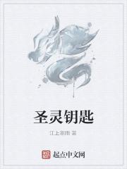 圣灵石有什么用