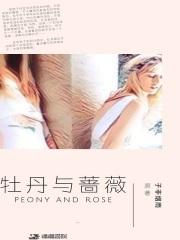 牡丹与蔷薇日剧全集