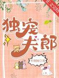 独宠夫郎番外笔趣阁