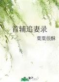 首辅追妻录类别历史架空作者 粟粟很酥