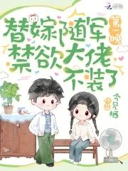 替嫁将军by夜灬冰澜