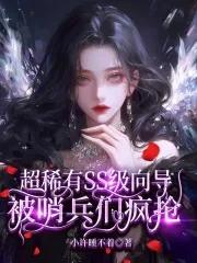 哨兵向导等级
