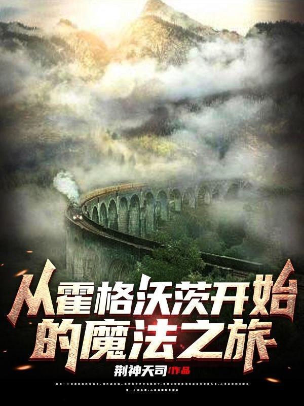 从霍格沃茨开始hp