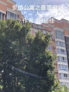 最完美的爱情公寓
