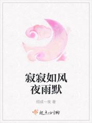 寂寞如风歌词