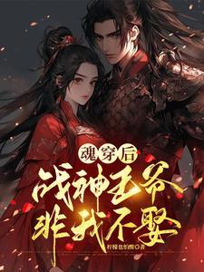 穿越夫人是战神王妃全文阅读