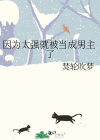 因为太强就被当成男主了格格党