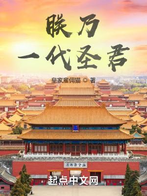 朕乃一代圣君正版免费阅读