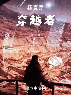我真是穿越者 作者署木