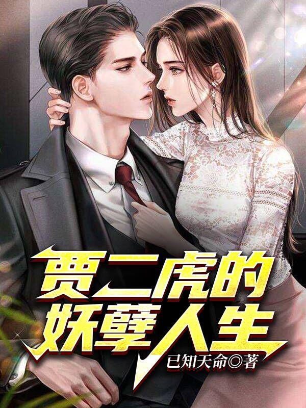 主人公贾二虎的是什么名