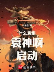 袁绍是干什么的