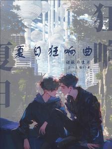 夏日狂想曲破解版
